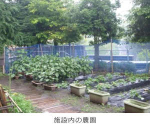 園芸バイオ係