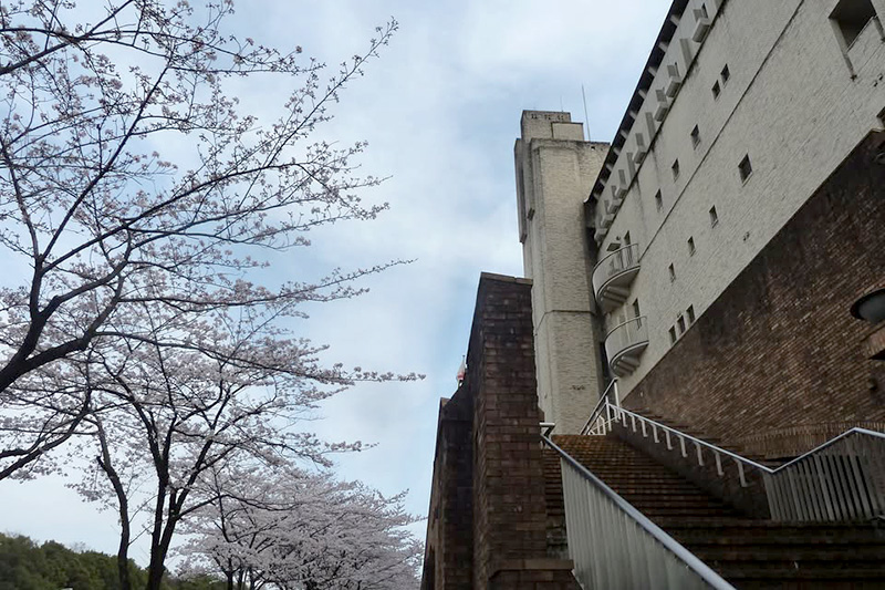 啓光相談支援センター